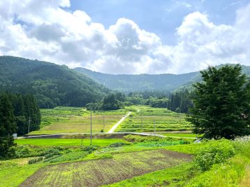 こぢんまりとした扇状地に見事な水田