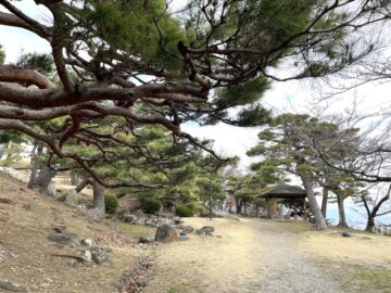 長野市のお花見のメッカ